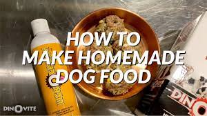 dog food recipe dinovite