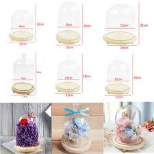 large glass display bell dome cloche