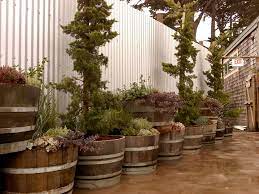 Wine Barrels Against Corrugated Wall