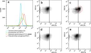 Efficient Quantification And Characterization Of Bacterial