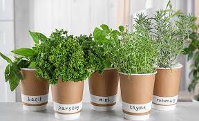 Indoor Herb Garden Ideas The Home Depot