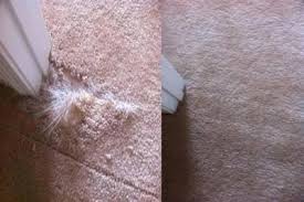 How to repair carpet burns online, article, story, explanation, suggestion, youtube. How Burned Carpet Can Be Repaired At Home