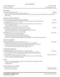 Resume Writing Services Princeton Nj   Professional Resume Phrases Resume Pdf Download