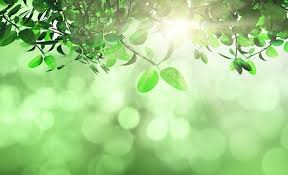 green nature background images free