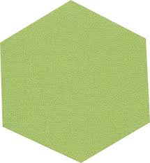 shaw carpet tile plane hexagon 30el