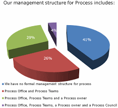 Management Structure For Process Success Bpminstitute Org