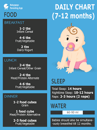 How Much Water Should My 7months 15days Old Drink Per Day