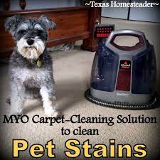 homemade carpet cleaner for pet stains