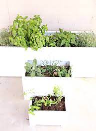 Patio Herb Garden Help Green Thumb