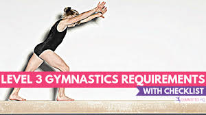 level 3 gymnastics requirements