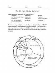 Cell division coloring sheet functional cell cycle and mitosis worksheet answer key Kami Export Cell Cycle Coloring 1 1 Name Date Period The Cell Cycle Coloring Worksheet Label The Diagram Below With The Following Labels 1 Course Hero