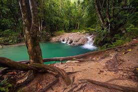 Reach falls is made up of a waterfall system with plenty of tunnels and rock cavities for you to explore. Jamaica Landschap Blue Hole Waterval Landschappen Jamaica Landschap