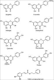 chemical structures of flavonoids found