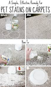 homemade carpet cleaning solutions and