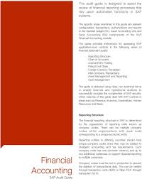 Sap Audit Guide For Financial Accounting Pdf