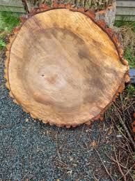 Tree Trunk Stump Table Top