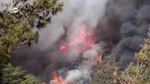 В турции местным властям удалось справиться с очагами возгорания на большей части территории манавгата и его окрестностей, сообщили в . Isnunawajvbvsm