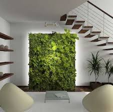 Vertical Garden Indoor Green Wall