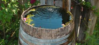 Add A Fountain To Your Wine Barrel Pond