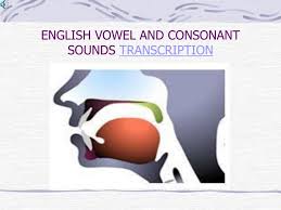 Some grammarians add w and y to the list. Ppt English Vowel And Consonant Sounds Transcription Powerpoint Presentation Id 1750206