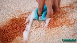 can you get latex paint out of carpet