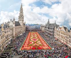 a carpet of 750 000 flowers blooms in