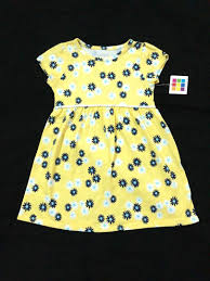 3t Bnwt Healthtex Flower Dress Babies Kids Girls