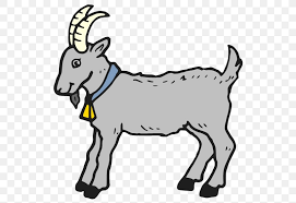 Try putting the finished pictures up on display, or send them home for the parents. Pygmy Goat Goat Simulator Three Billy Goats Gruff Baby Goats Coloring Book Png 549x564px Pygmy Goat