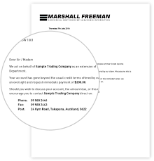 marshall freeman collections