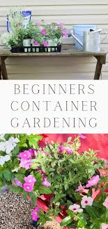 Best Container Flower Gardening For