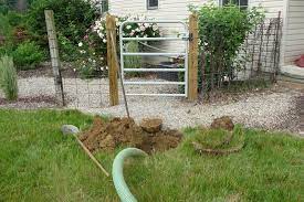Planting Gardens On Septic Drain Fields