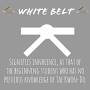 taekwondo belt meaning from googleweblight.com