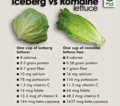 romaine vs iceberg lettuce which is