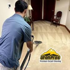 the 1 carpet cleaning in orem ut