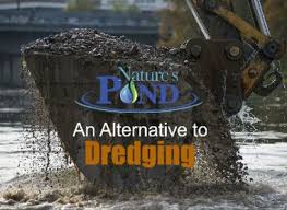 nature s pond care an alternative to