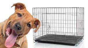 what size crate for a pitbull as he