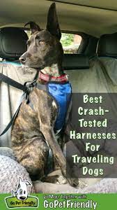 Crash Tested Dog Harnesses For The Car