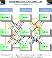 Matrix Organisational Structure