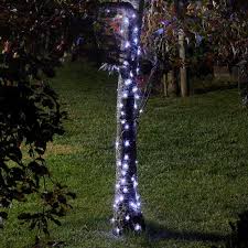 Smart Solar 100 White Firefly String Lights