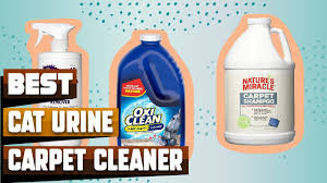 car carpet cleaner for cat urine