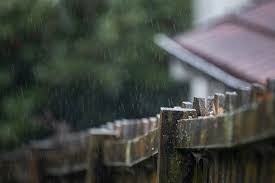 Protect Garden Fences From Rain Damage