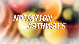 nutrition pathways nutrition basics