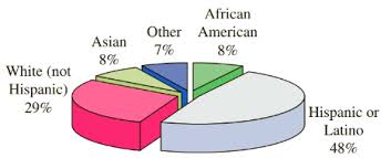 Ethnic Diversity The Following Pie Chart Shows The Bartleby