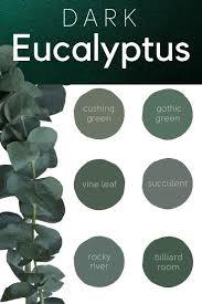 The Best Eucalyptus Green Colors For