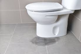 standard plumbing hole for a toilet