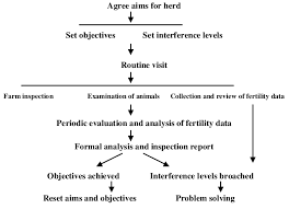 Flow Chart Representing The Typical Herd Health Cycle For