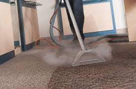 hilton head premier cleaning carpet