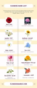 flowers name in hindi and english 20