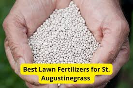 lawn fertilizers for st augustinegr