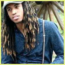 Along with starting the locs. Hair Dye Colors For Dreads 413238 Dreadlock Hair Color Ideas Tutorials